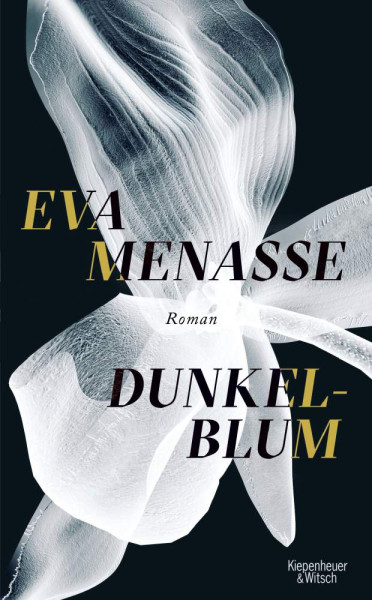 Eva Menasse | Dunkelblum