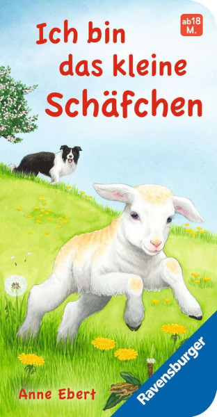 Ravensburger | Ich bin das kleine Schäfchen | 41822