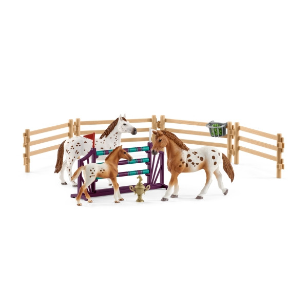 HC Lisas Turnier-Training | 42433