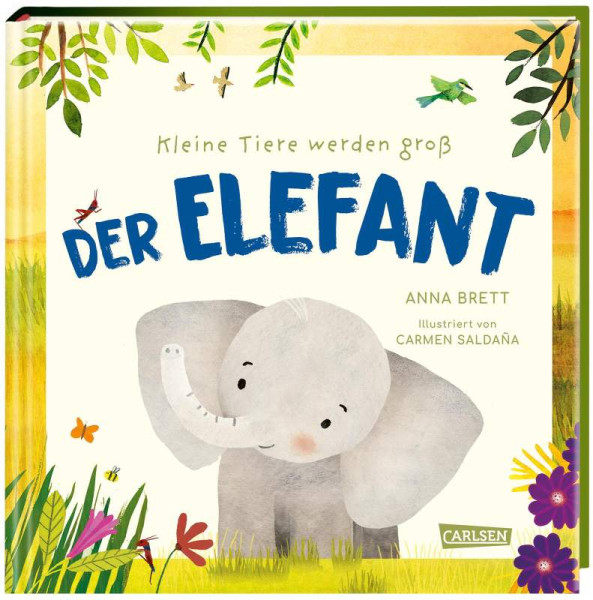 Carlsen | Kleine Tiere werden groß - Der Elefant | Brett, Anna
