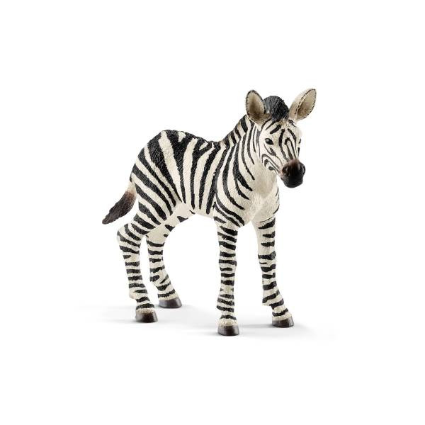 Schleich | Zebra Fohlen | 14811