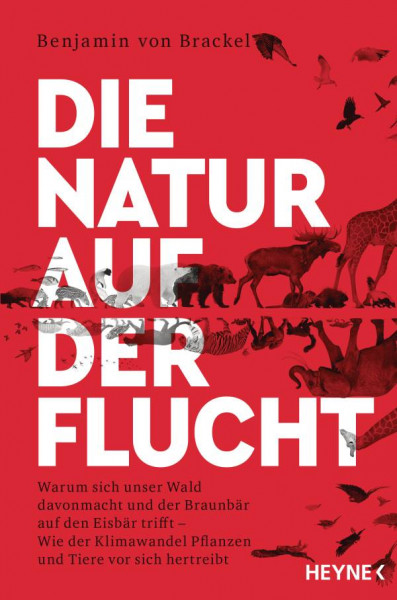 Benjamin von Brackel | Die Natur auf der Flucht