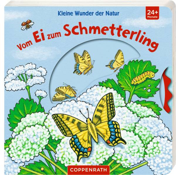 Coppenrath | Kleine Wunder der Natur: Vom Ei zum Schmetterling