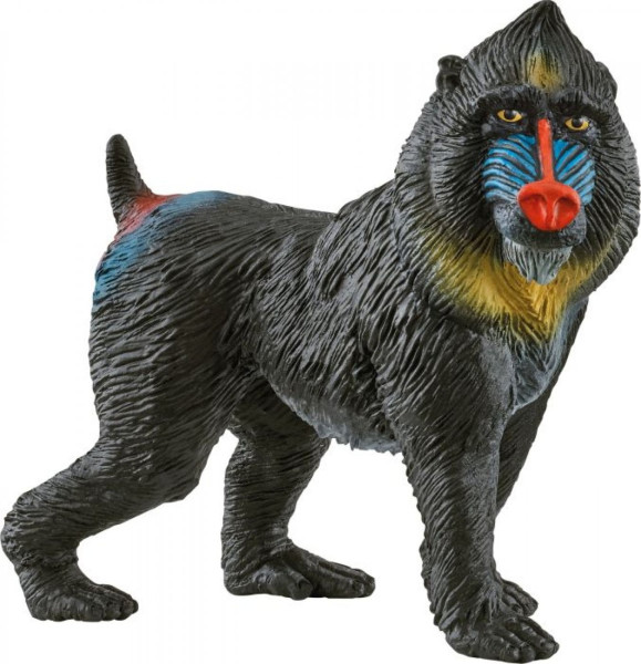 Schleich | Wild Life Mandrill