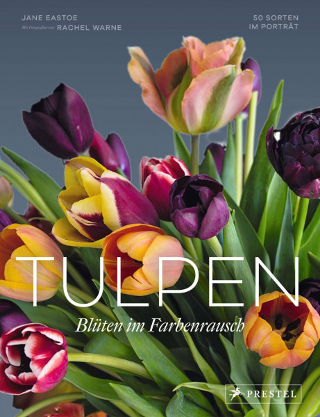 Prestel | Tulpen