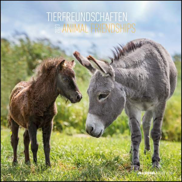 Neumann Verlage GmbH & Co. KG | Tierfreundschaften 2023 - Broschürenkalender 30x30 cm (30x60 geöffnet) - Kalender mit Platz für Notizen - Animal Friendships - Bildkalender - Planer | 