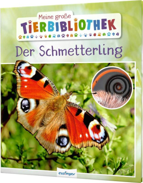 Esslinger in der Thienemann-Esslinger Verlag GmbH | Meine große Tierbibliothek: Der Schmetterling | Tracqui, Valérie