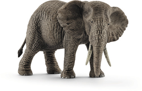 Afrikanische Elefantenkuh | 14761
