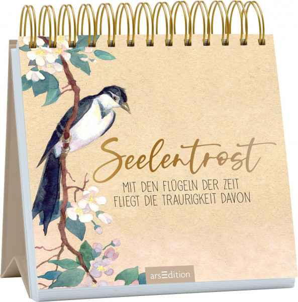 arsEdition | Seelentrost | 