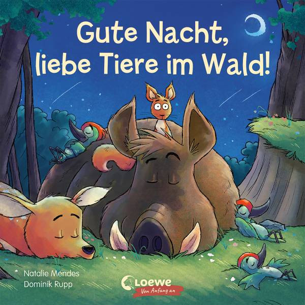 Loewe | Gute Nacht, liebe Tiere im Wald! | Mendes, Natalie