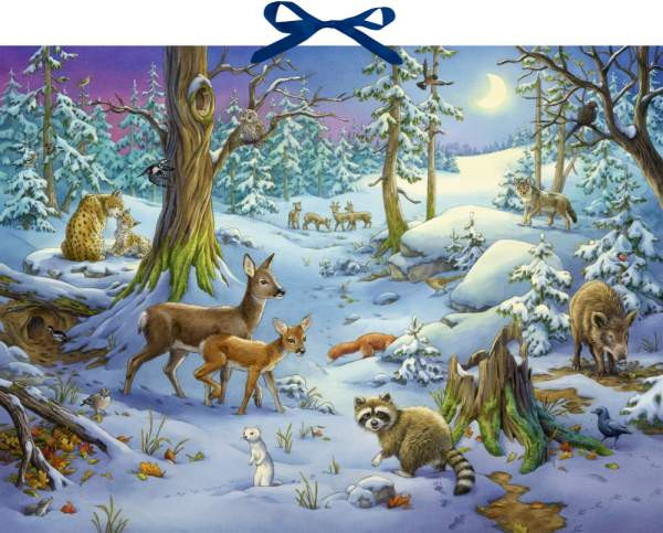 Coppenrath | Sound-Adventskalender - Hört ihr die Tiere im Winterwald? | 