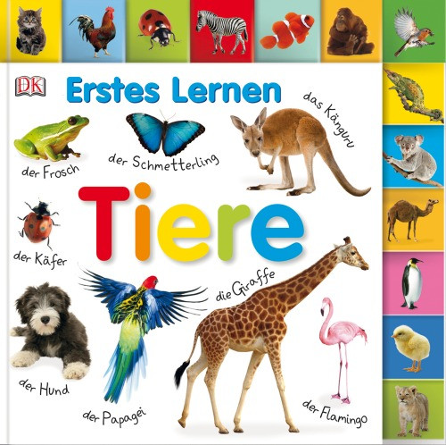 Dorling Kindersley | Erstes Lernen: Tiere | 467/01743