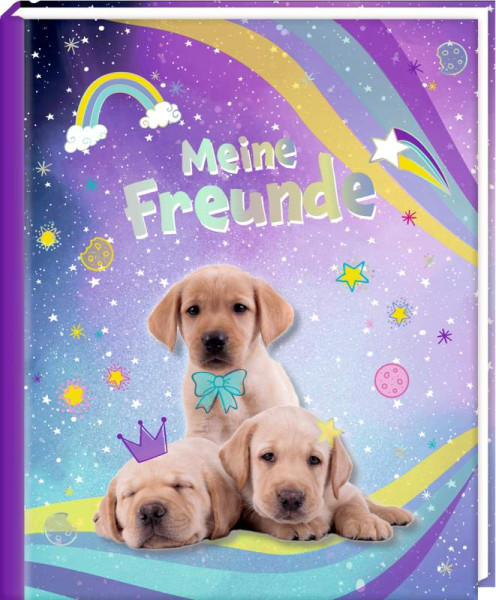 Coppenrath | Freundebuch – Meine Freunde | 