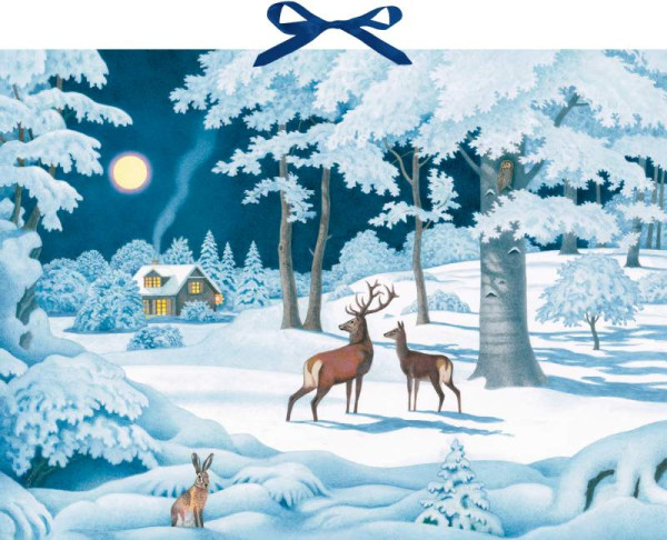 Coppenrath | Wand-Adventskalender – Wintertiere bei Nacht | 
