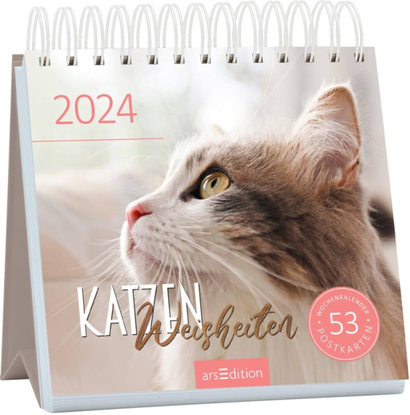 arsEdition | Postkartenkalender Katzenweisheiten 2024 | 