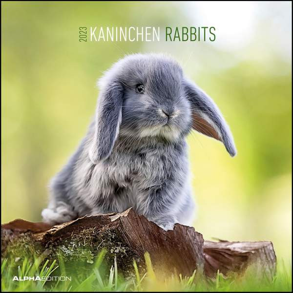 Neumann Verlage GmbH & Co. KG | Kaninchen 2023 - Broschürenkalender 30x30 cm (30x60 geöffnet) - Kalender mit Platz für Notizen - Rabbits - Bildkalender - Wandplaner - Wandkalender | 