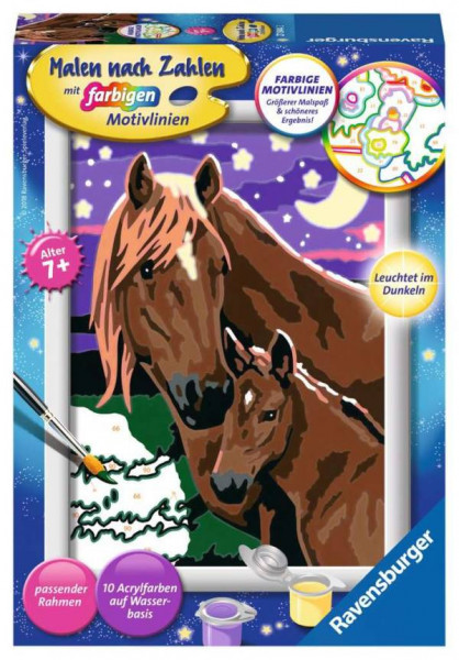 Ravensburger | Malen nach Zahlen Pferde  | 27844