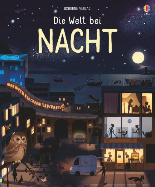 Usborne | Die Welt bei Nacht