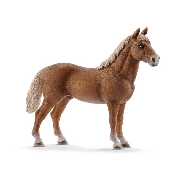 Schleich | Morgan Horse Hengst | 13869