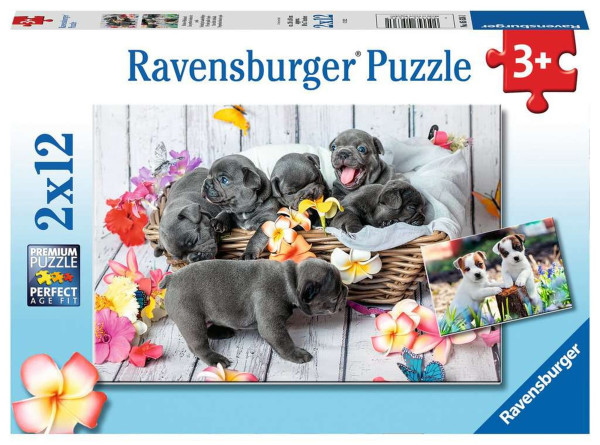 Hundewelpen sitzen zusammen in einem Korb