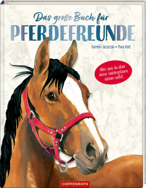 Coppenrath | Das große Buch für Pferdefreunde