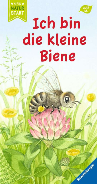Ravensburger | Ich bin die kleine Biene | 43980