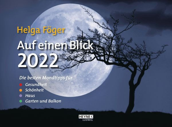 Ludwig bei Heyne | Auf einen Blick 2022 | Föger, Helga