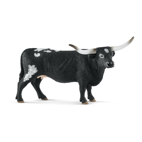 Texas Longhorn Kuh | 13865