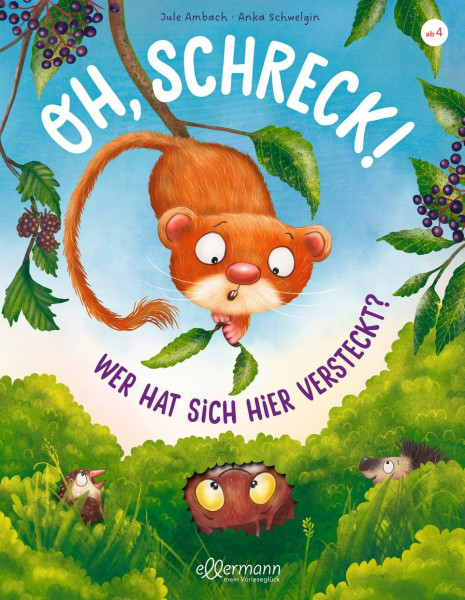 Dressler | Oh Schreck! Wer hat sich hier versteckt? | Ambach, Jule