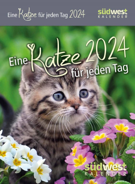 Südwest | Eine Katze für jeden Tag 2024 - Tagesabreißkalender zum Aufstellen oder Aufhängen | 