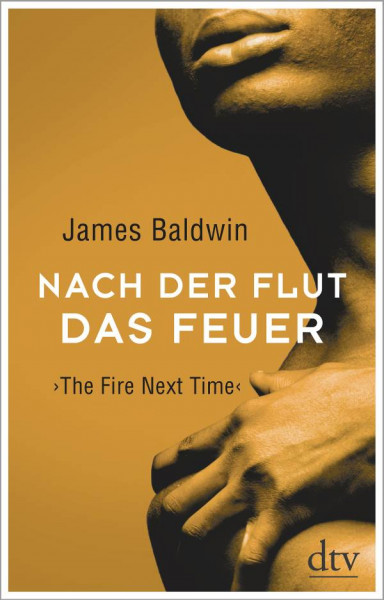dtv | Nach der Flut das Feuer