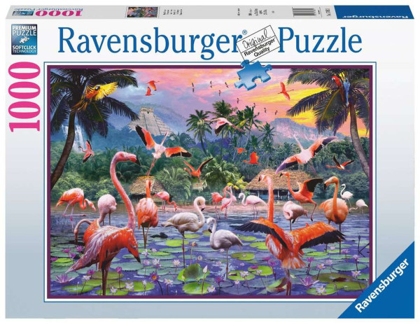 Pinke Flamingos stehen im Wasser.