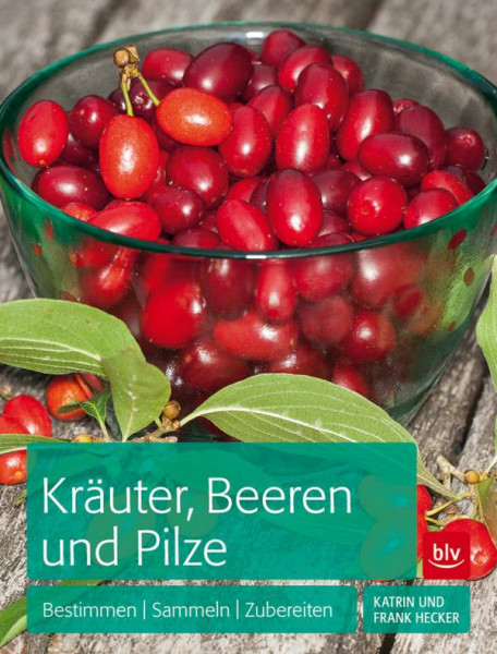 BLV ein Imprint von GRÄFE UND UNZER Verlag GmbH | Kräuter, Beeren und Pilze