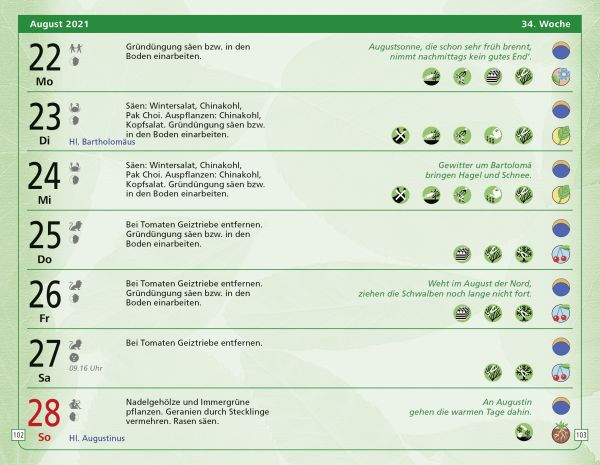 Südwest Der kleine Aussaatkalender 2022 Taschenkalender. Gärtnern mit
