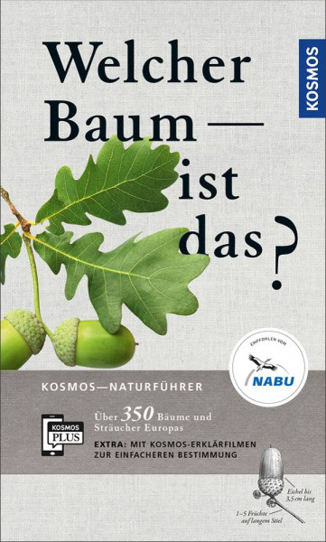 Kosmos | Welcher Baum ist das?