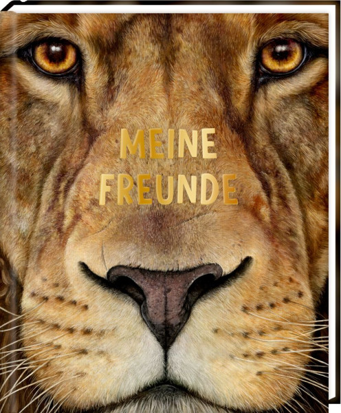 Coppenrath | Freundebuch – Meine Freunde | 