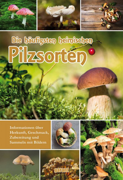 garant Verlag | Die häufigsten heimischen Pilzsorten