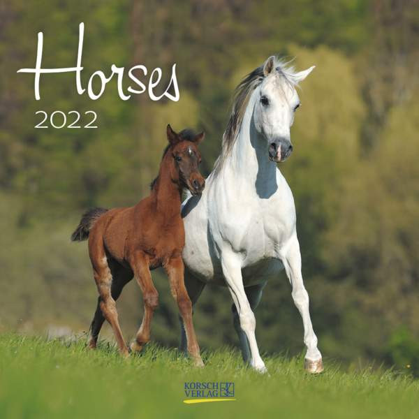 Korsch Verlag | Horses 2022 | 
