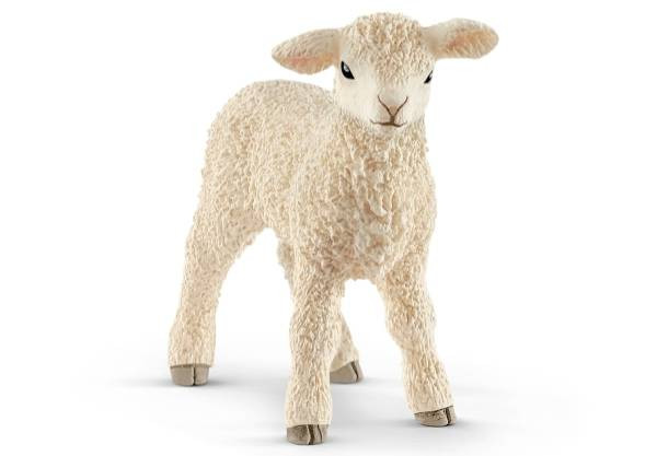 Schleich | Lamm | 13883