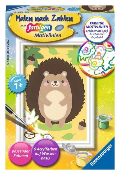 Igel zum  Ausmalen