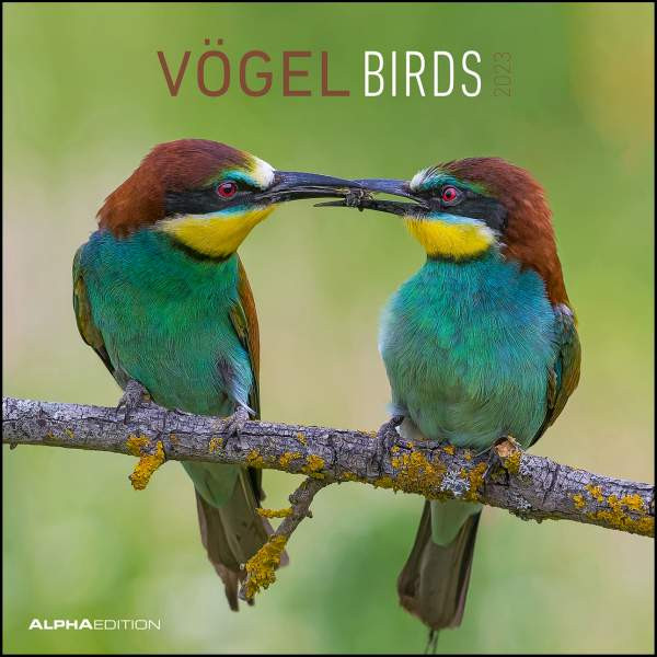 Neumann Verlage GmbH & Co. KG | Vögel 2023 - Broschürenkalender 30x30 cm (30x60 geöffnet) - Kalender mit Platz für Notizen - Birds - Bildkalender - Wandkalender - Vogelkalender | 