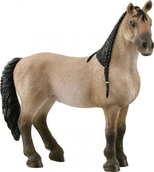Schleich | Horse Club  Criollo Definitivo Stute | 13948