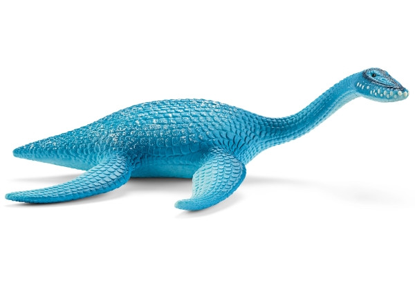 Plesiosaurus | 15016