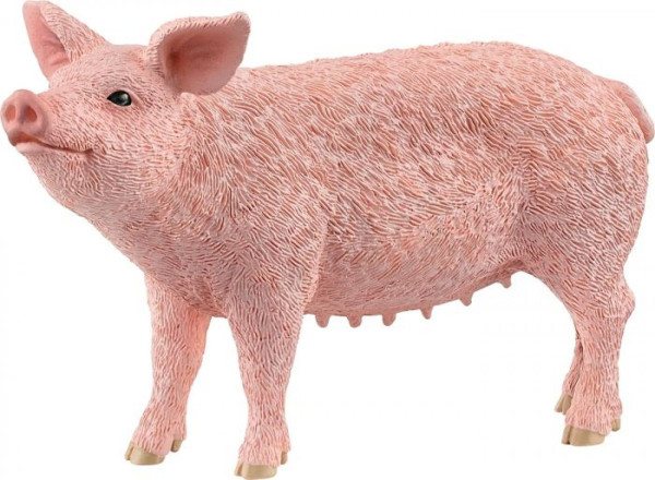 Schleich | Farm World Schwein