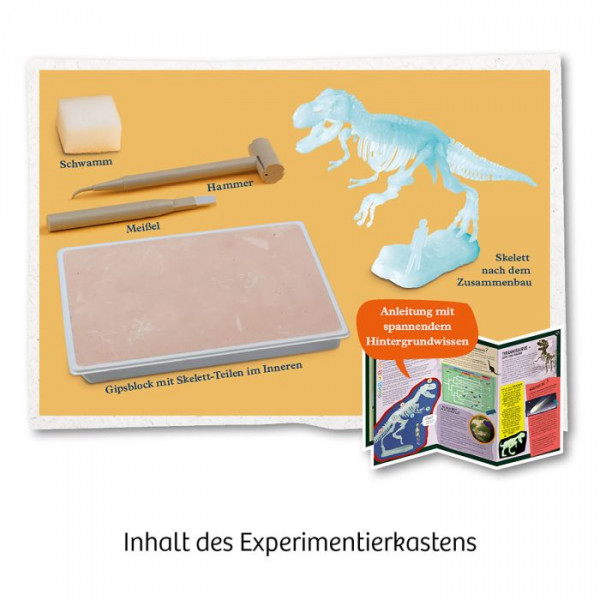 Franckh-Kosmos | Nachtleuchtender T-REX | 658021