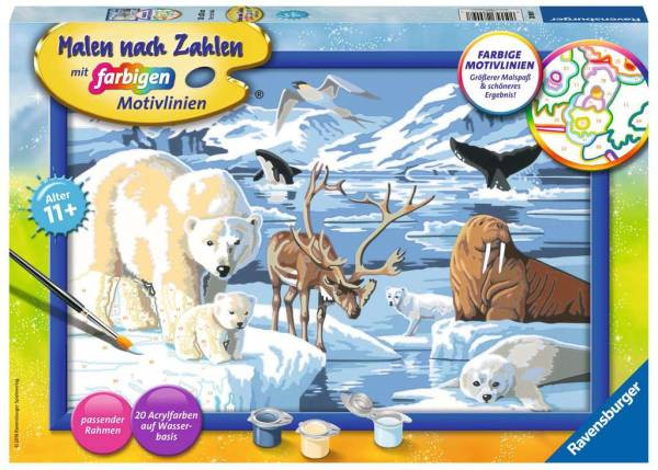 Ravensburger | Malen nach Zahlen | Tiere der Arktis