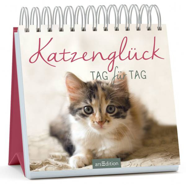 Ars Edition | Katzenglück