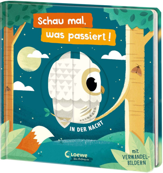 Loewe | Schau mal, was passiert! In der Nacht |