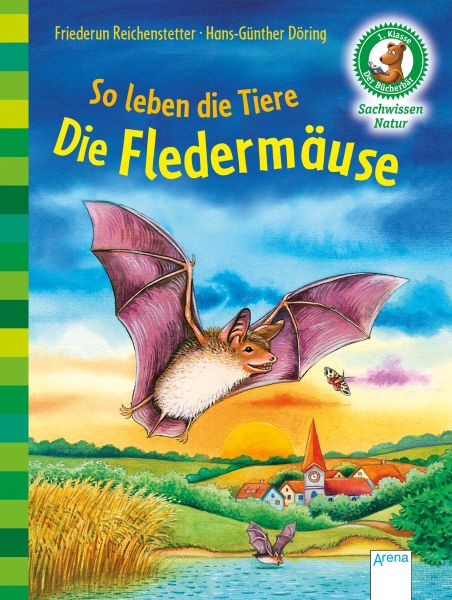 Arena | So leben die Tiere. Die Fledermäuse