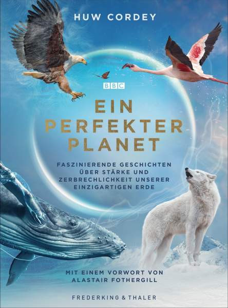 Cordey, H: Ein perfekter Planet